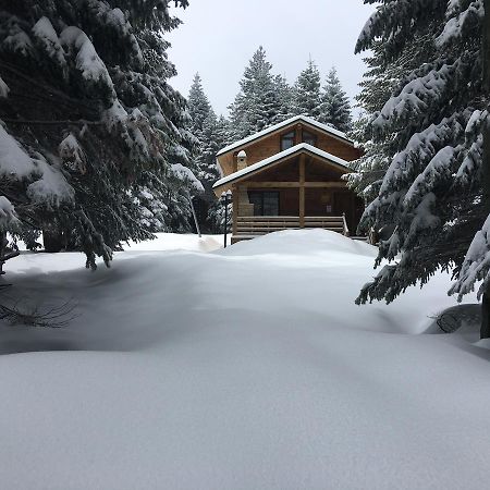 Uludag Orman Koskleri Villa Bursa Bagian luar foto