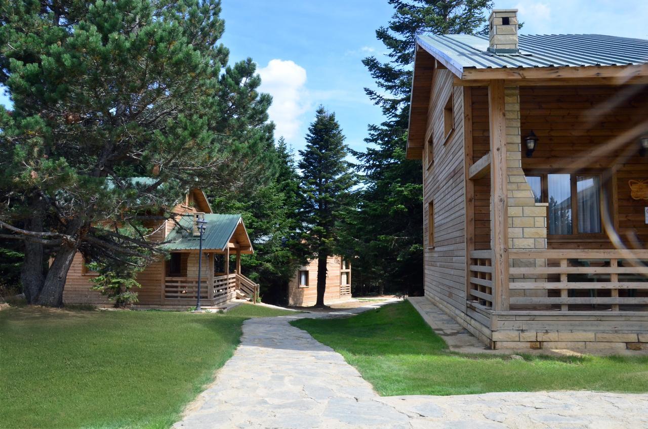 Uludag Orman Koskleri Villa Bursa Bagian luar foto